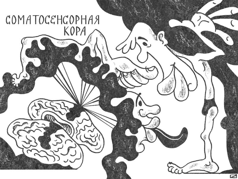 Файл:Image186.jpeg